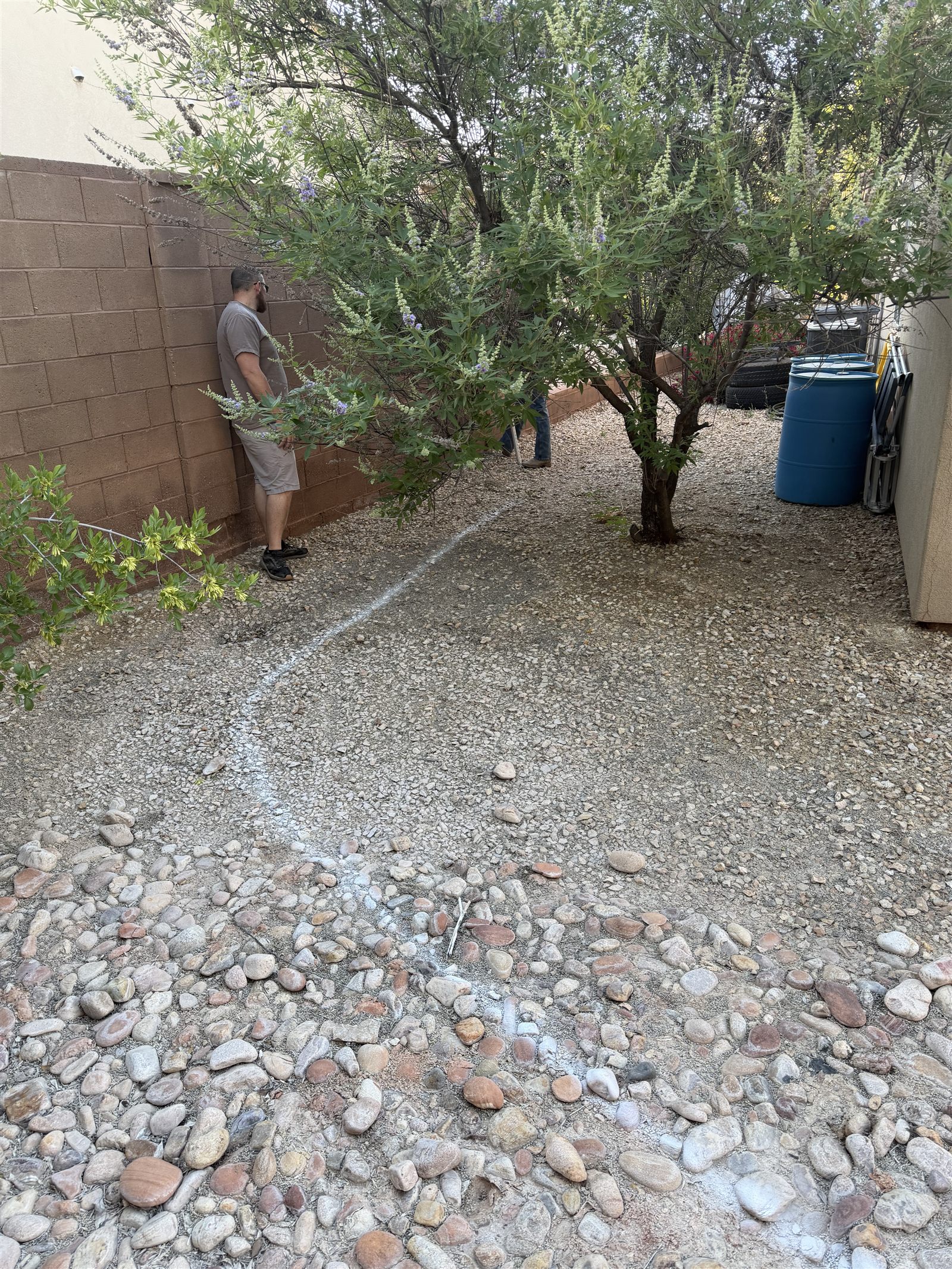 French drain layout marked in a residential yard